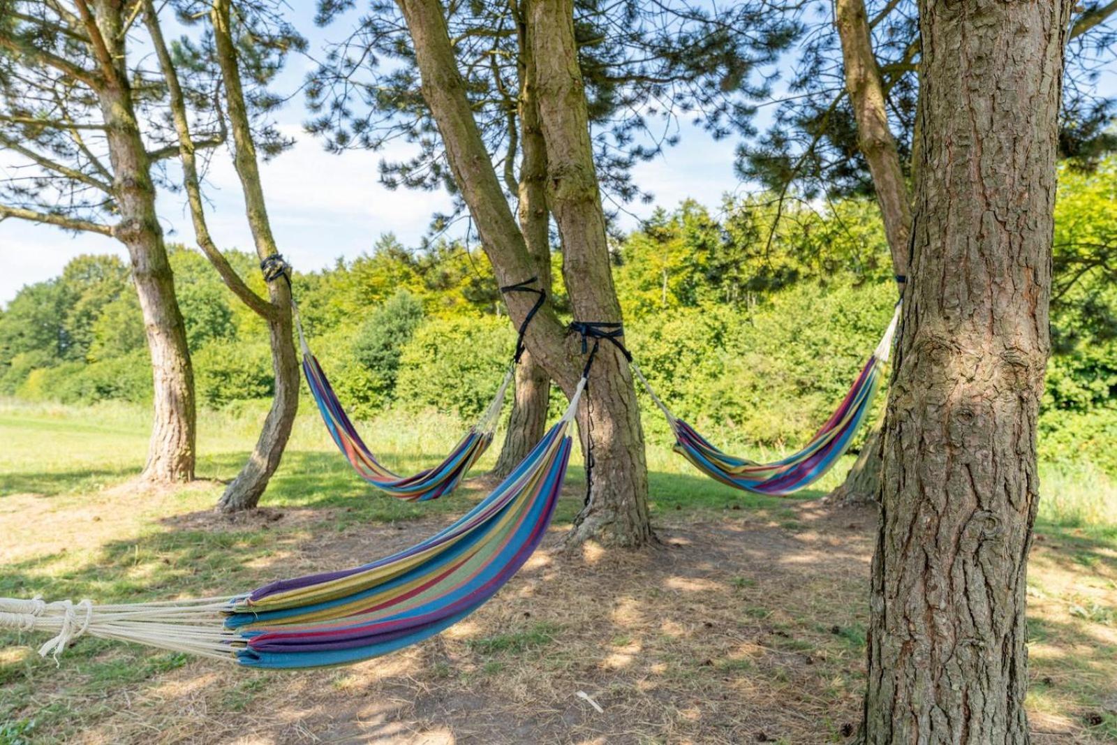 Glamping Lodge With Eco-Wellness ゼーウォルデ エクステリア 写真